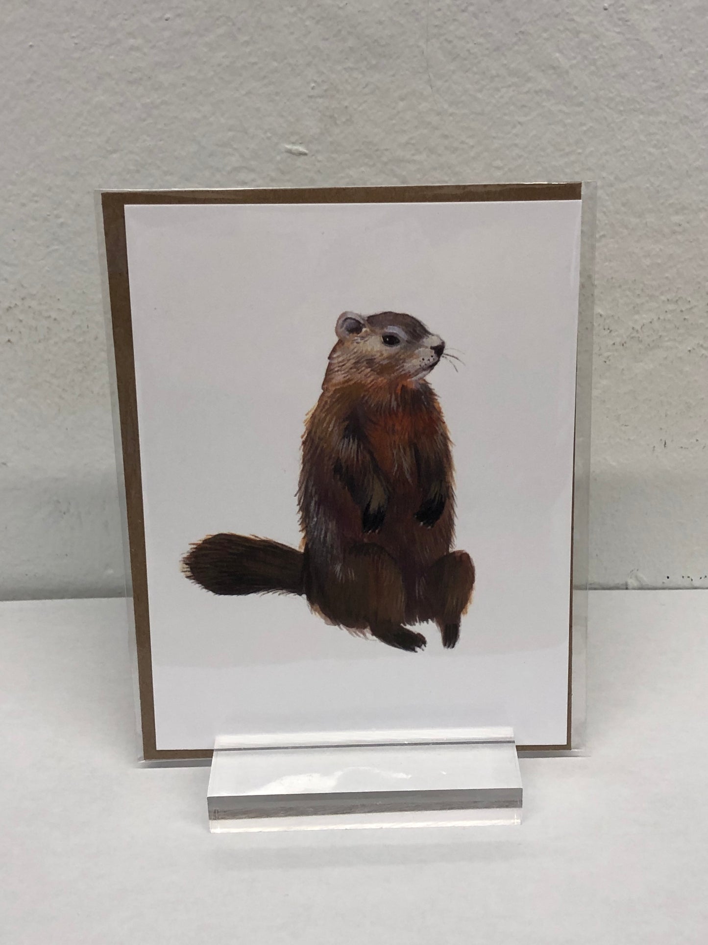 Animals of Canada - Postcards variety