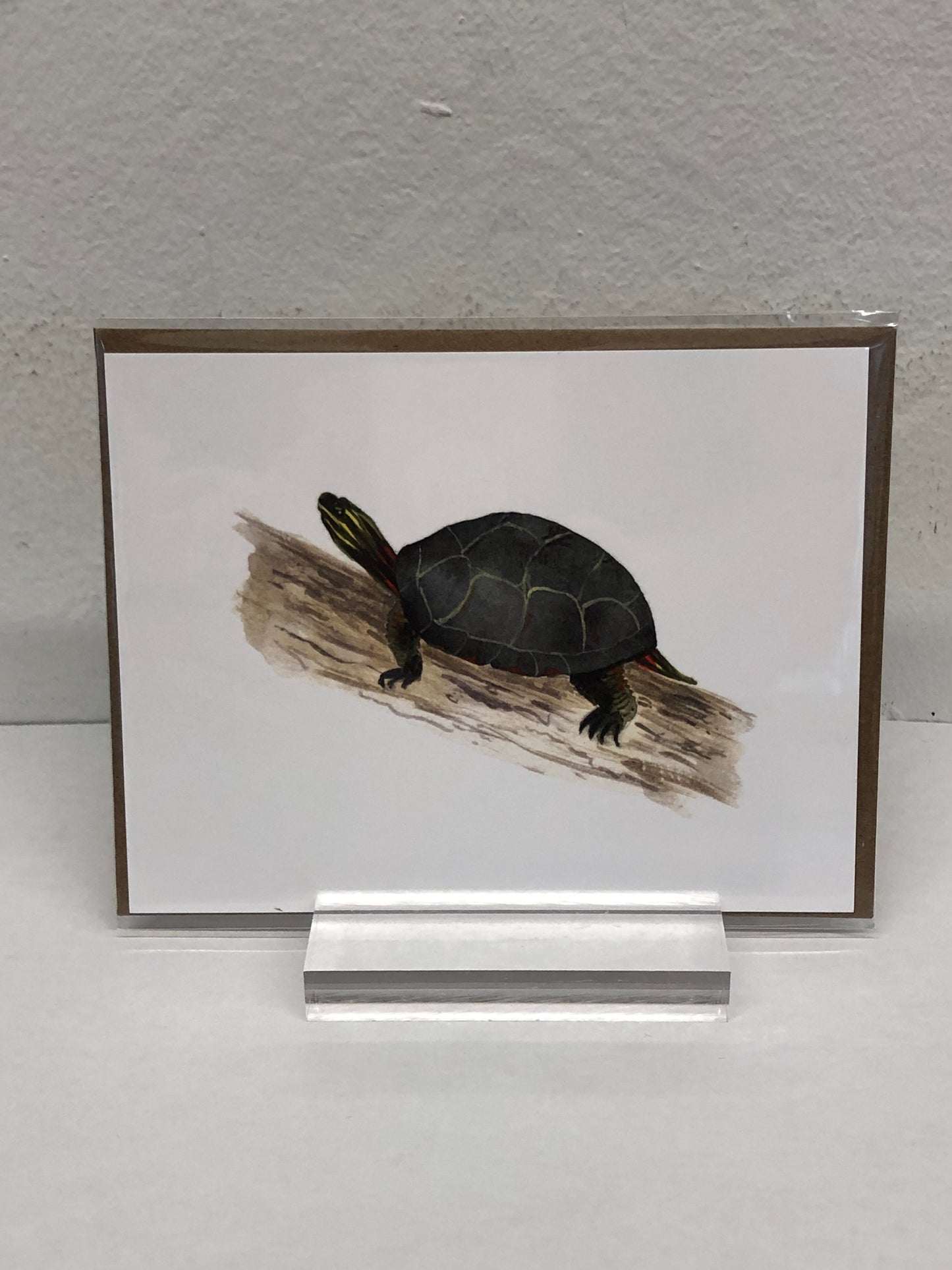Animals of Canada - Postcards variety