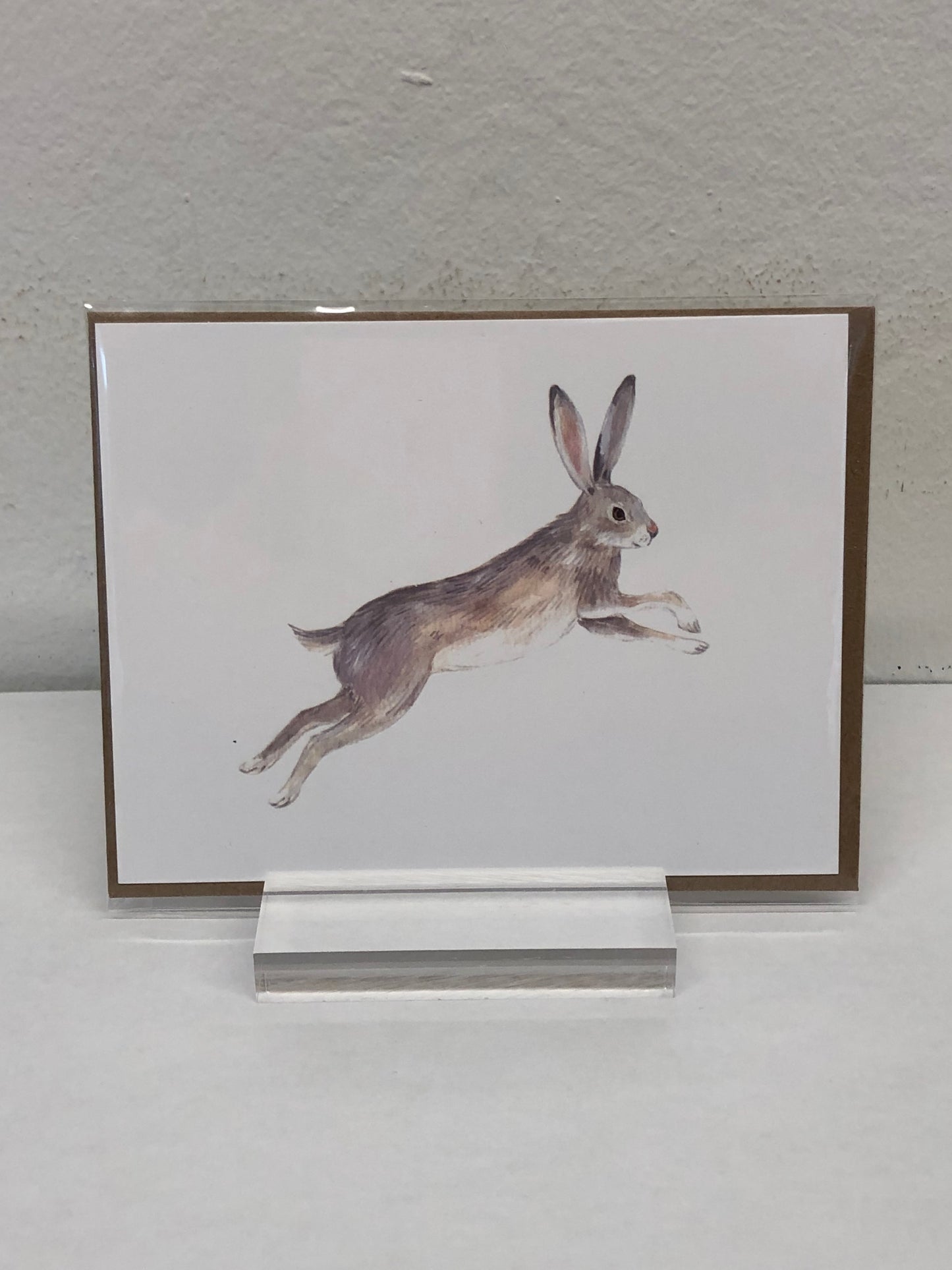 Animals of Canada - Postcards variety