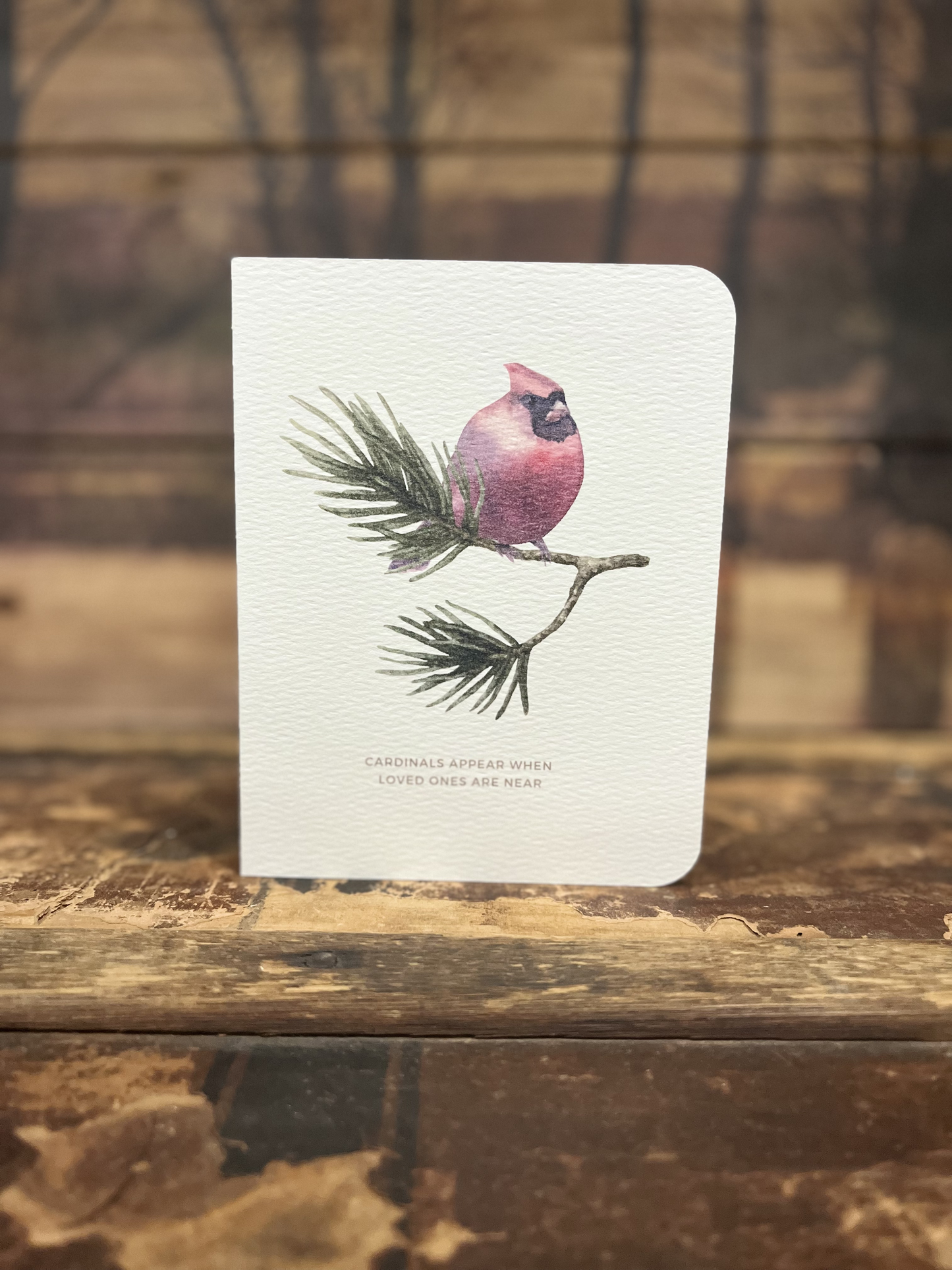 Paper Kuts - Cardinals Appear Sympathy Card - Includes Kraft Envelope: Square