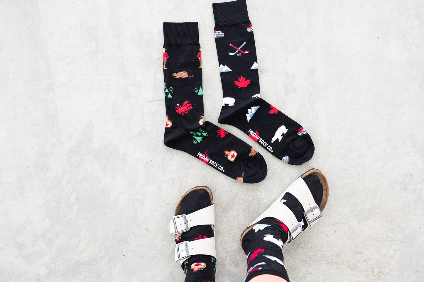 Friday Sock Co. - Women's Canada Icons Socks: Women’s 5 – 10