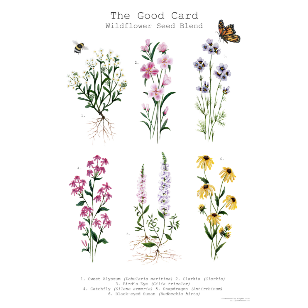 The Good Card - Plantable Gift Tags - Sketched Florals
