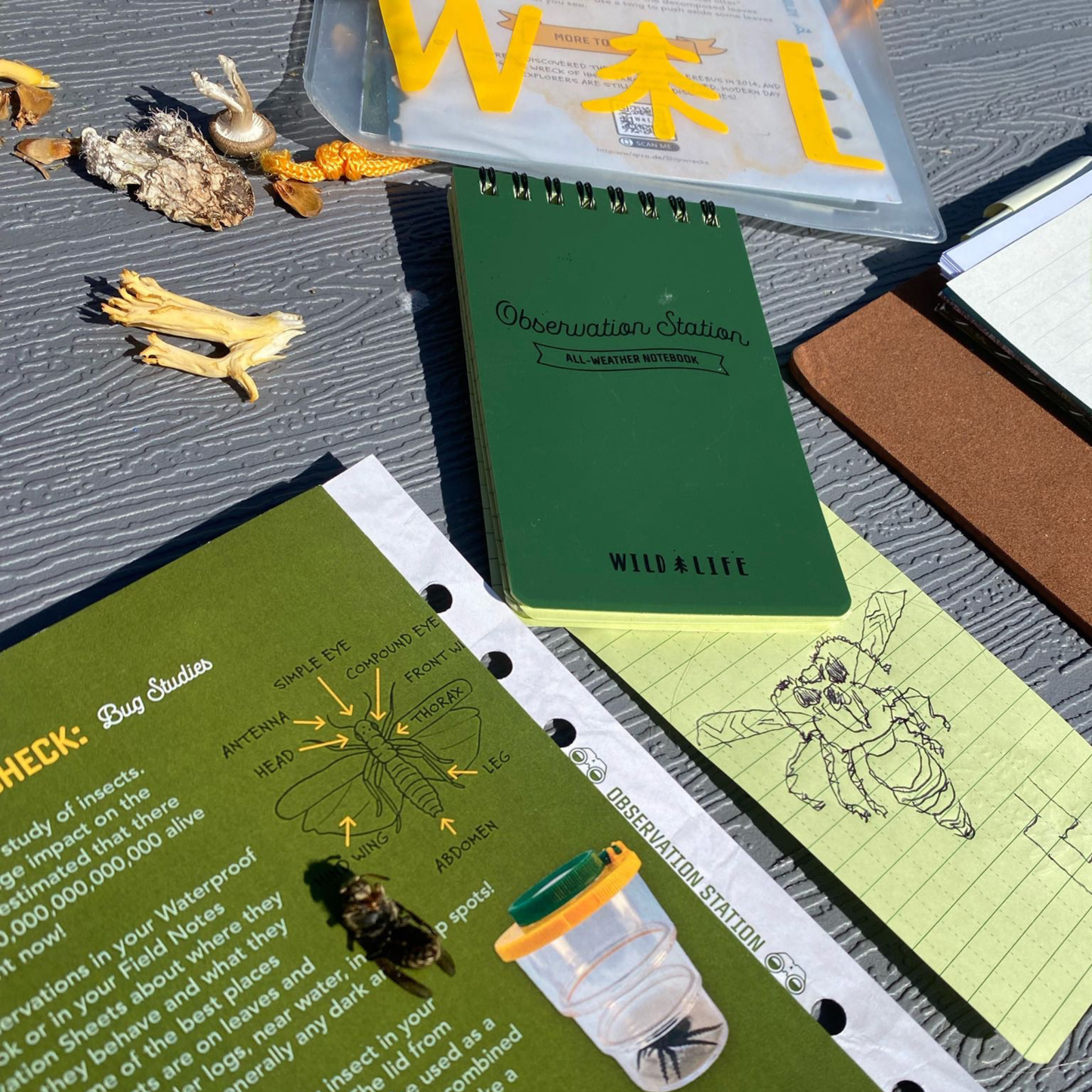Wild Life Outdoor Adventures - All-Weather Notebook 2 Pack