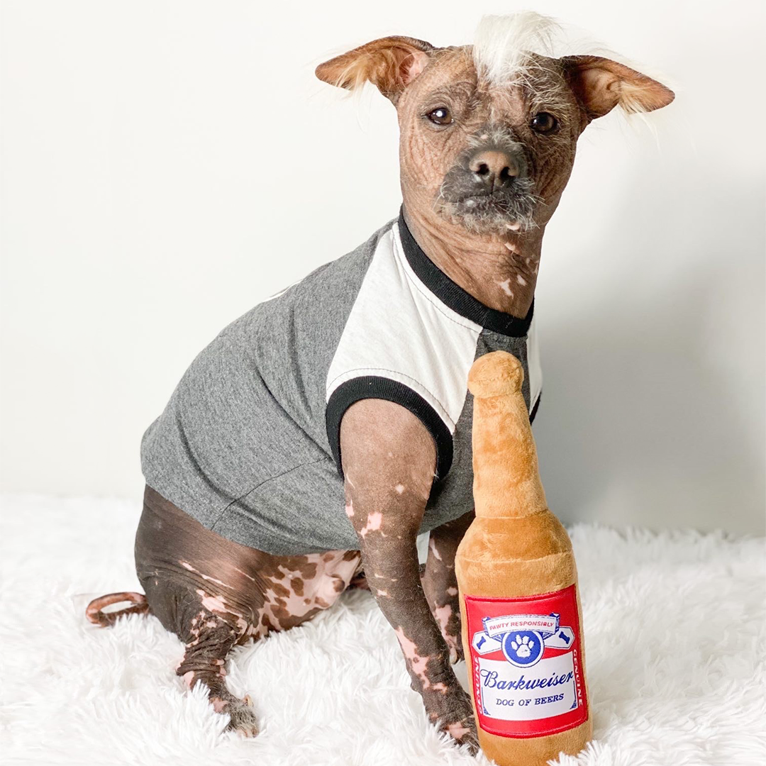 PawtyAnimals.ca - Barkweiser
