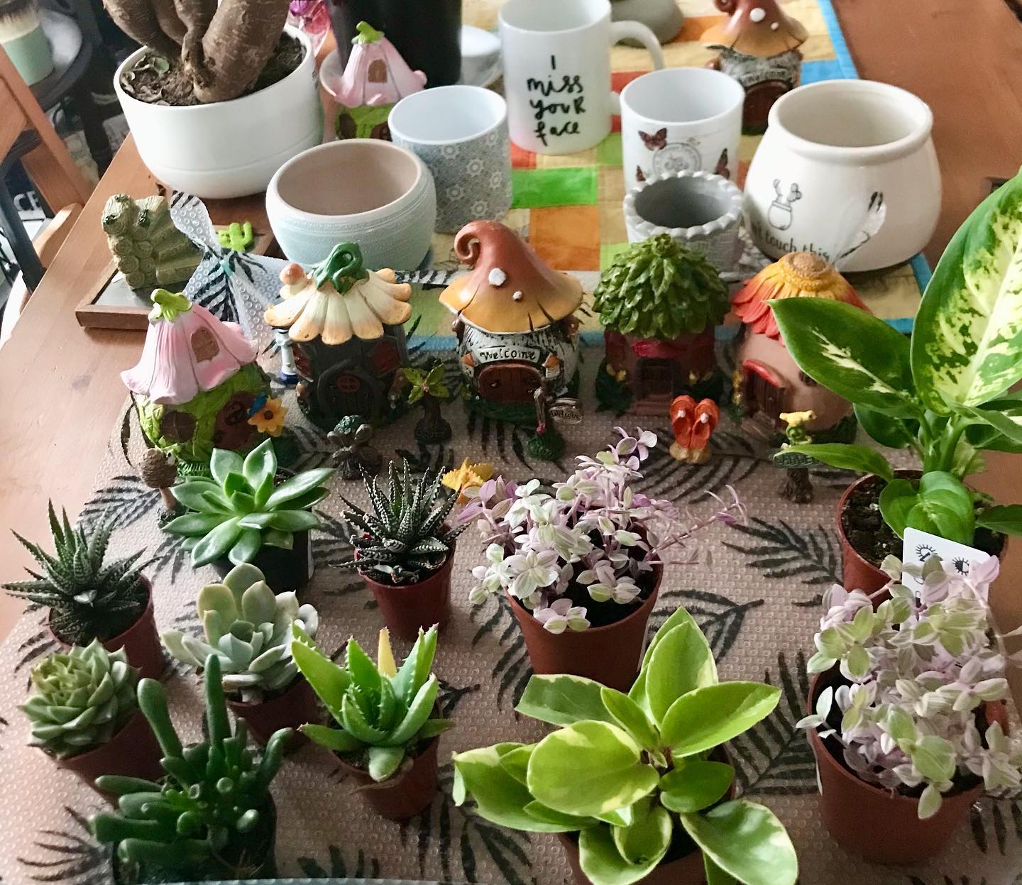 Terrarium Workshop - Date coming soon