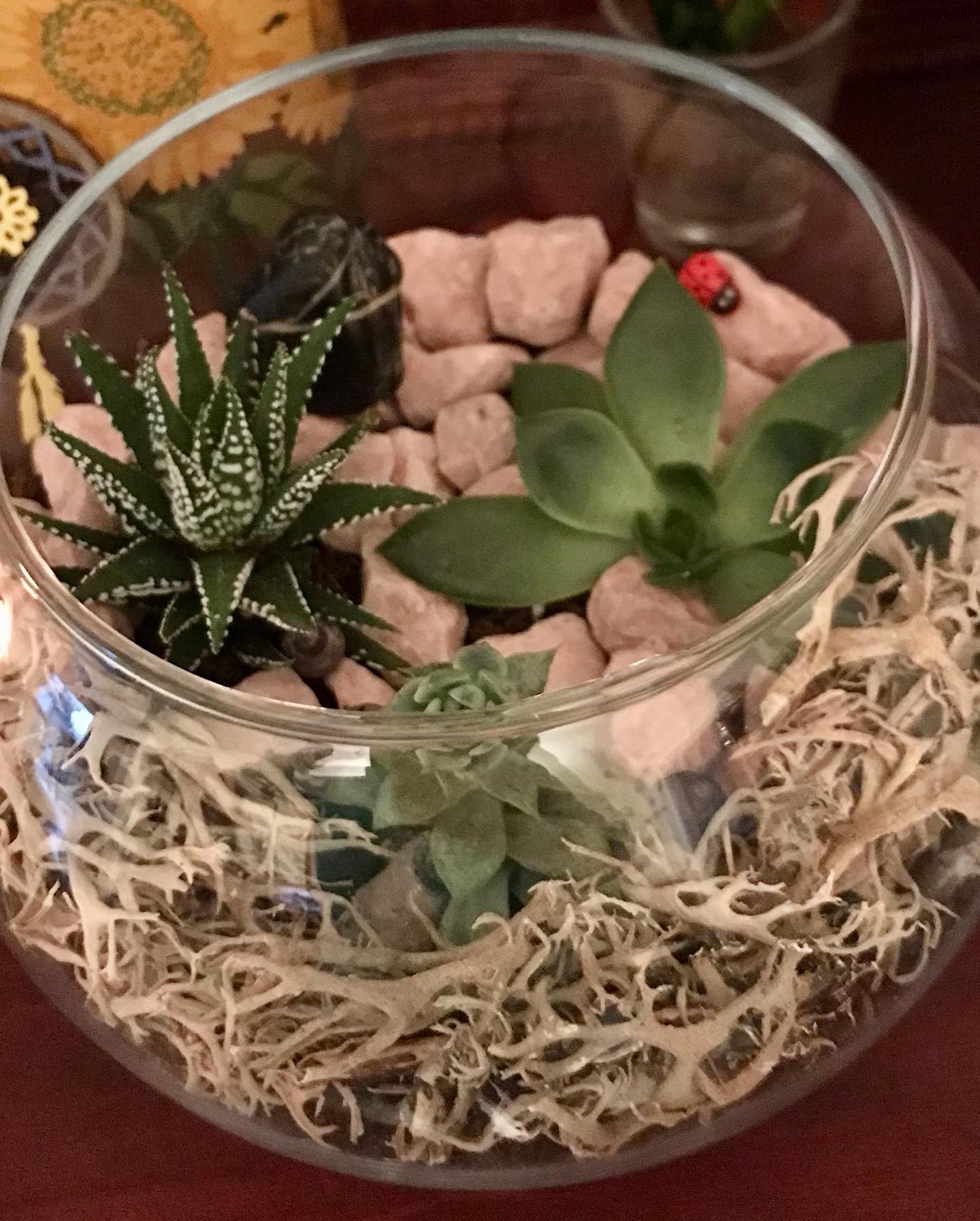 Terrarium Workshop - Date coming soon