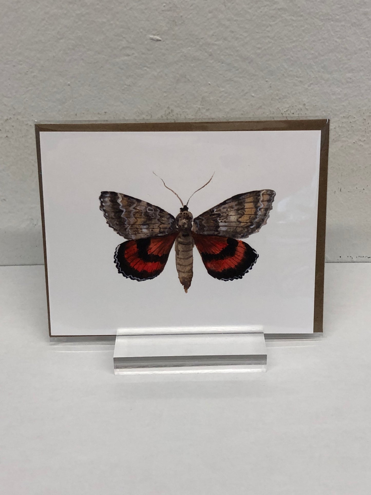 Animals of Canada - Postcards variety