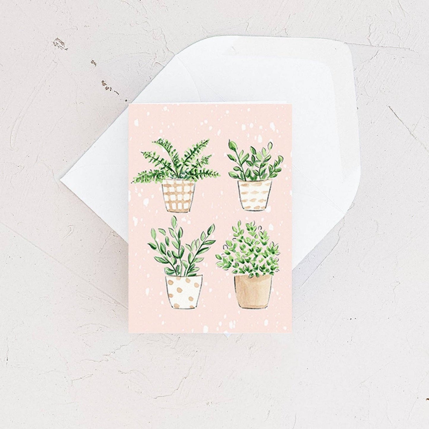 Almeida Illustrations - Mini Card - Plants Quartet -Everyday Botanical Enclosure Card