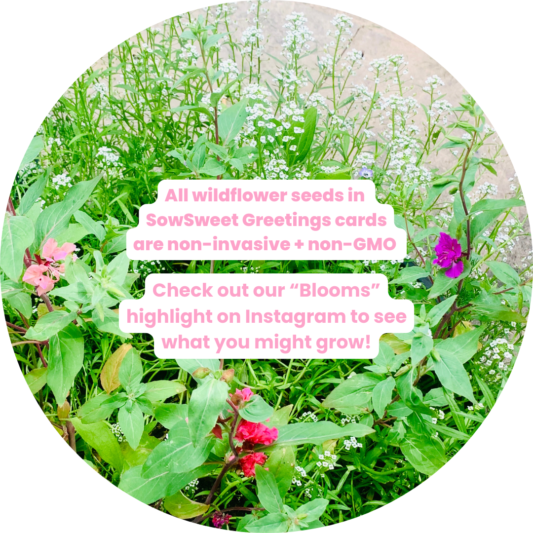 SowSweet Greetings Inc - RetireMINT