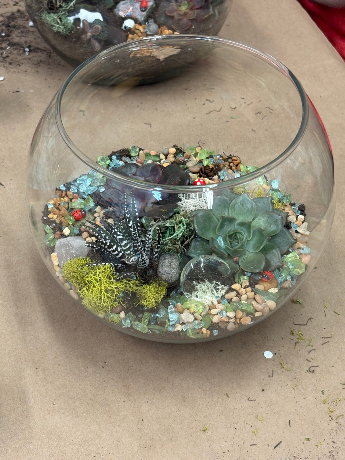 *Terrarium workshop - October 24, 1-3pm