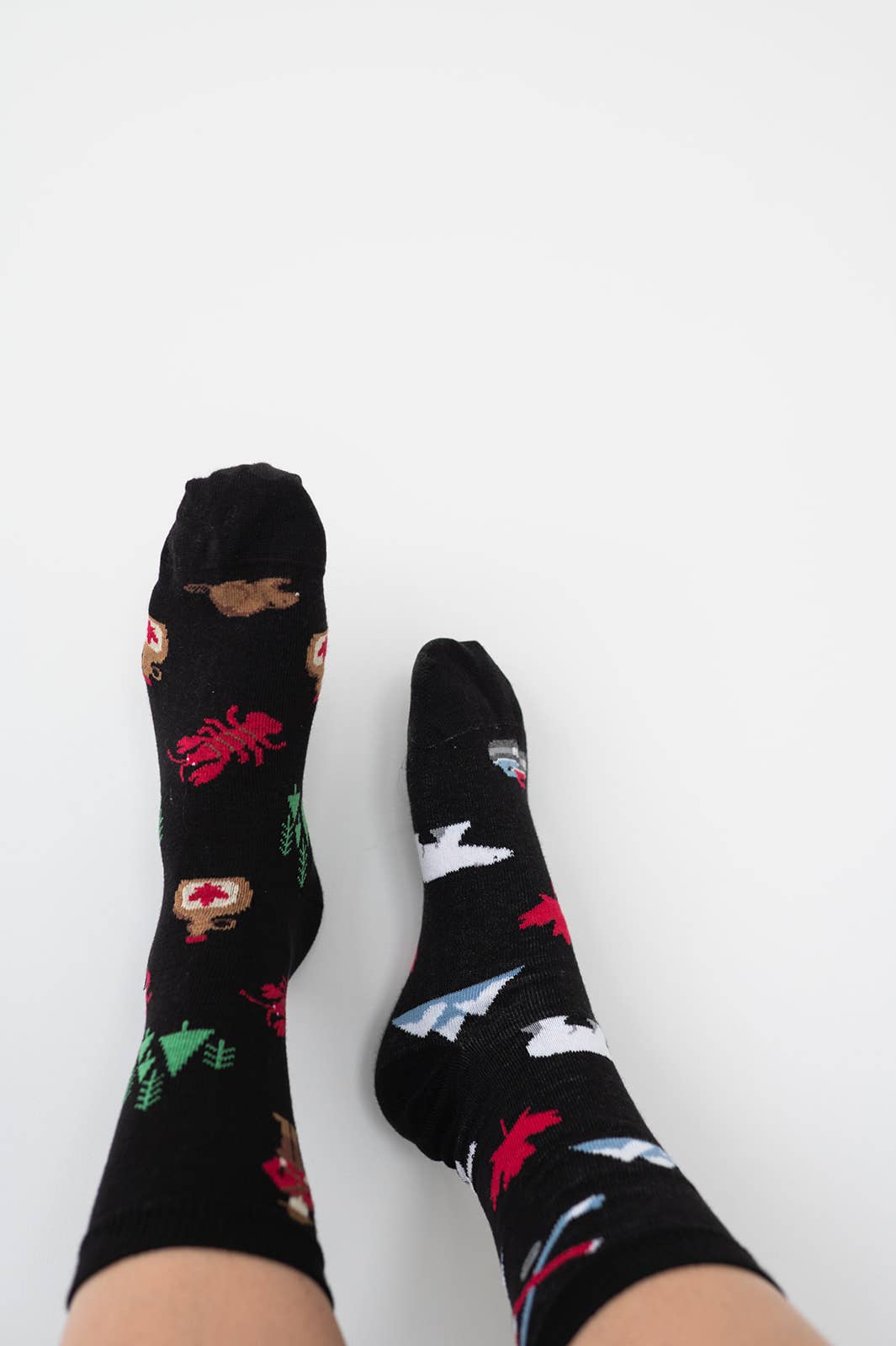 Friday Sock Co. - Women's Canada Icons Socks: Women’s 5 – 10