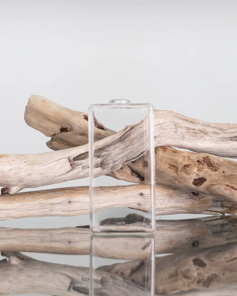 Everlasting Candle - JERVIS CLEAR vase