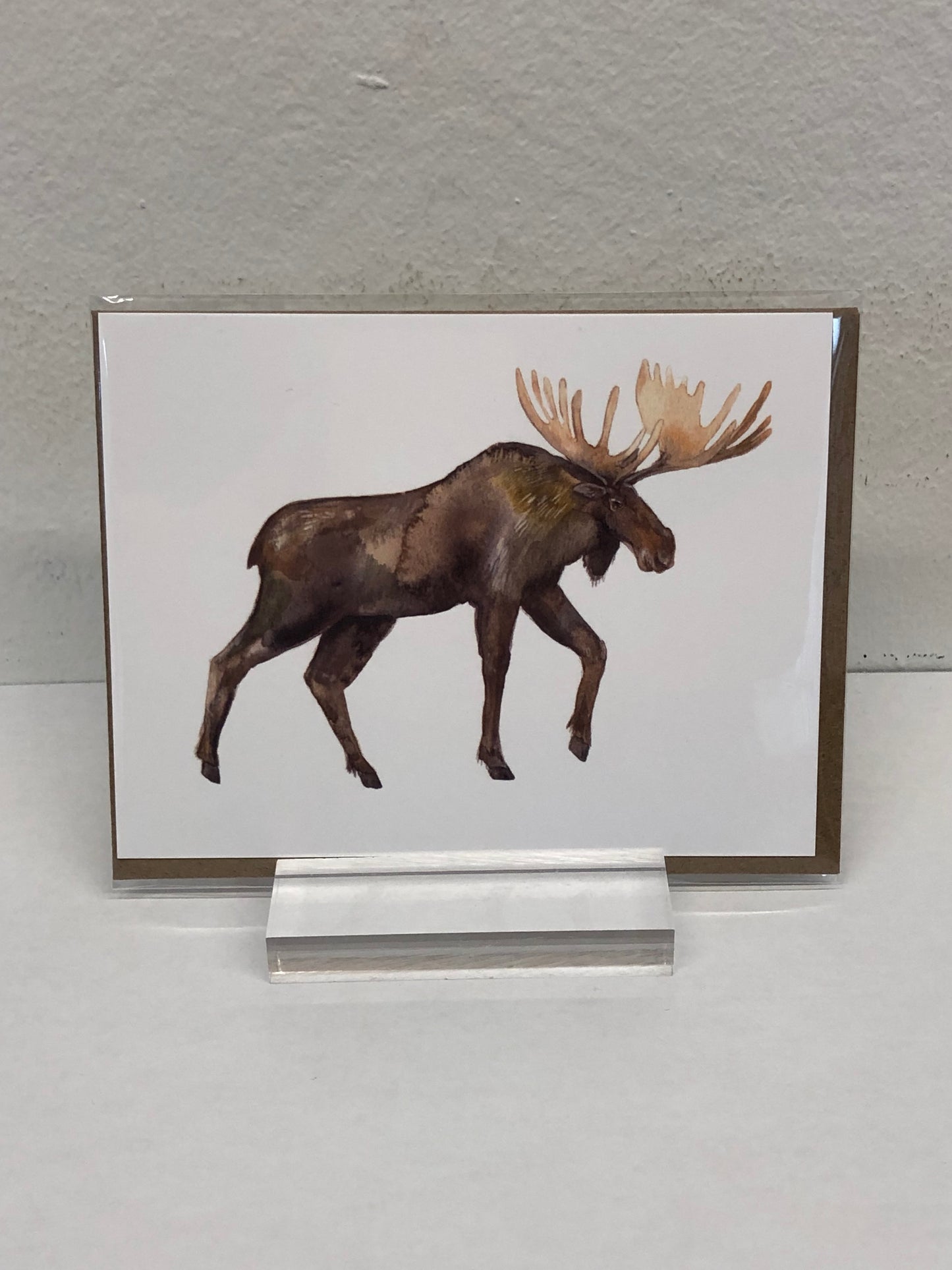 Animals of Canada - Postcards variety