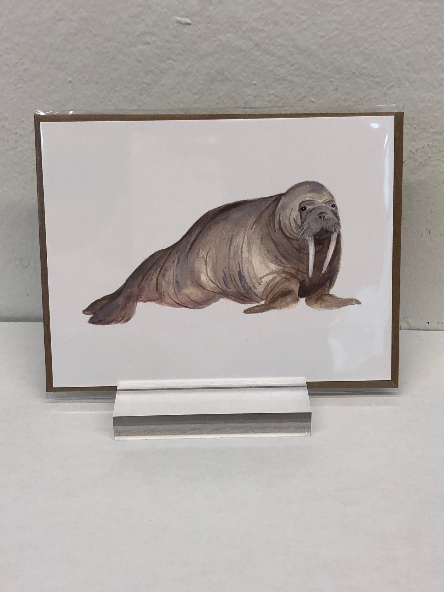 Animals of Canada - Postcards variety