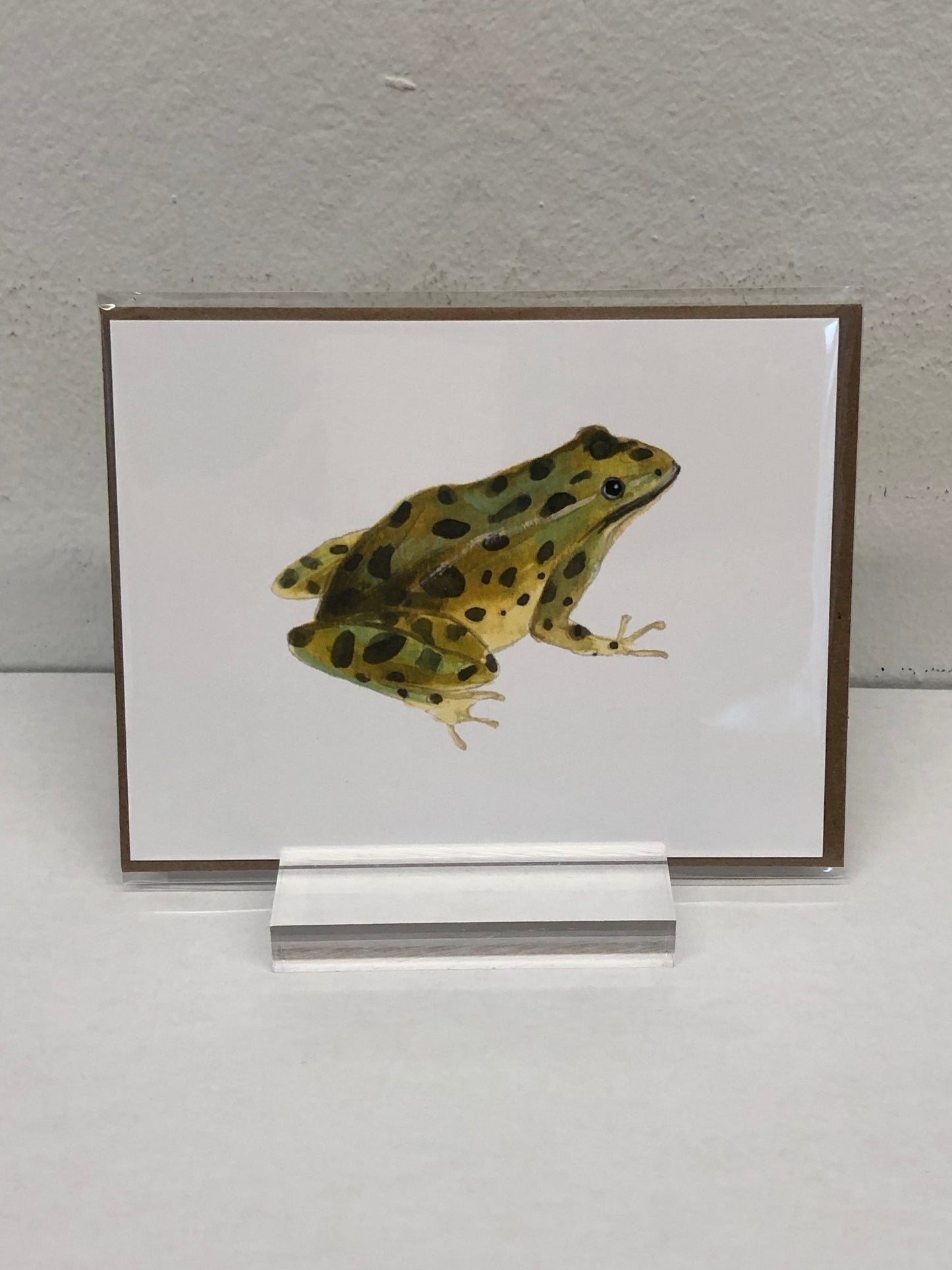 Animals of Canada - Postcards variety