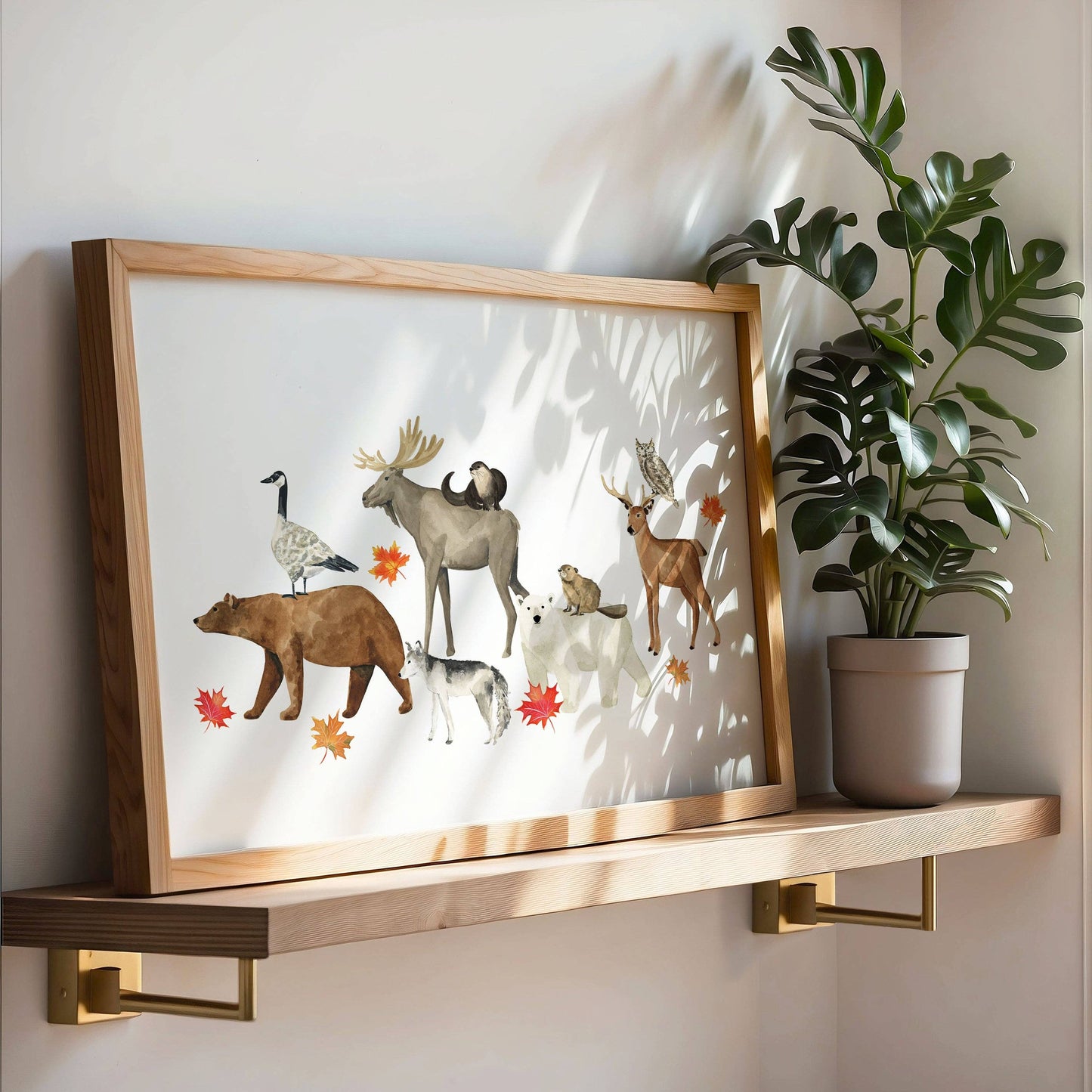 Almeida Illustrations - Animals of Canada II Art Print: 8 x 10