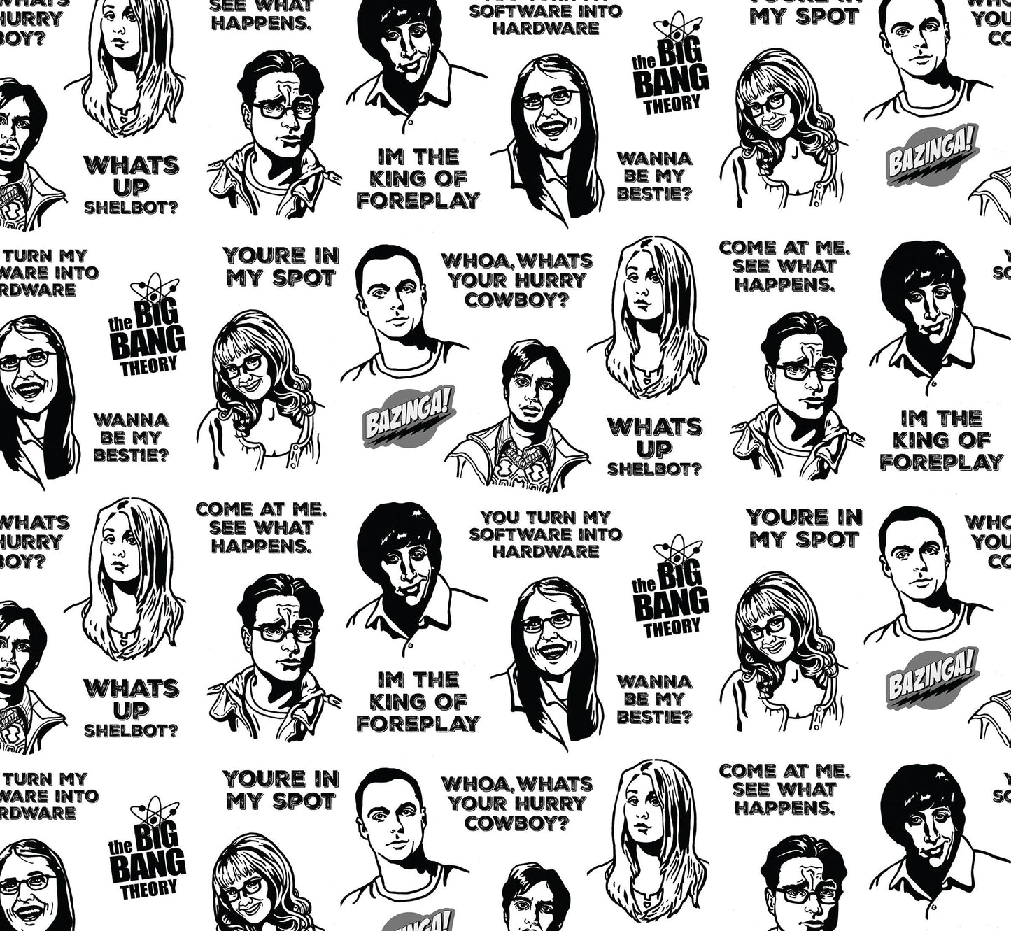 Big Bang Theory Gift Wrap 24"x36" Sheet