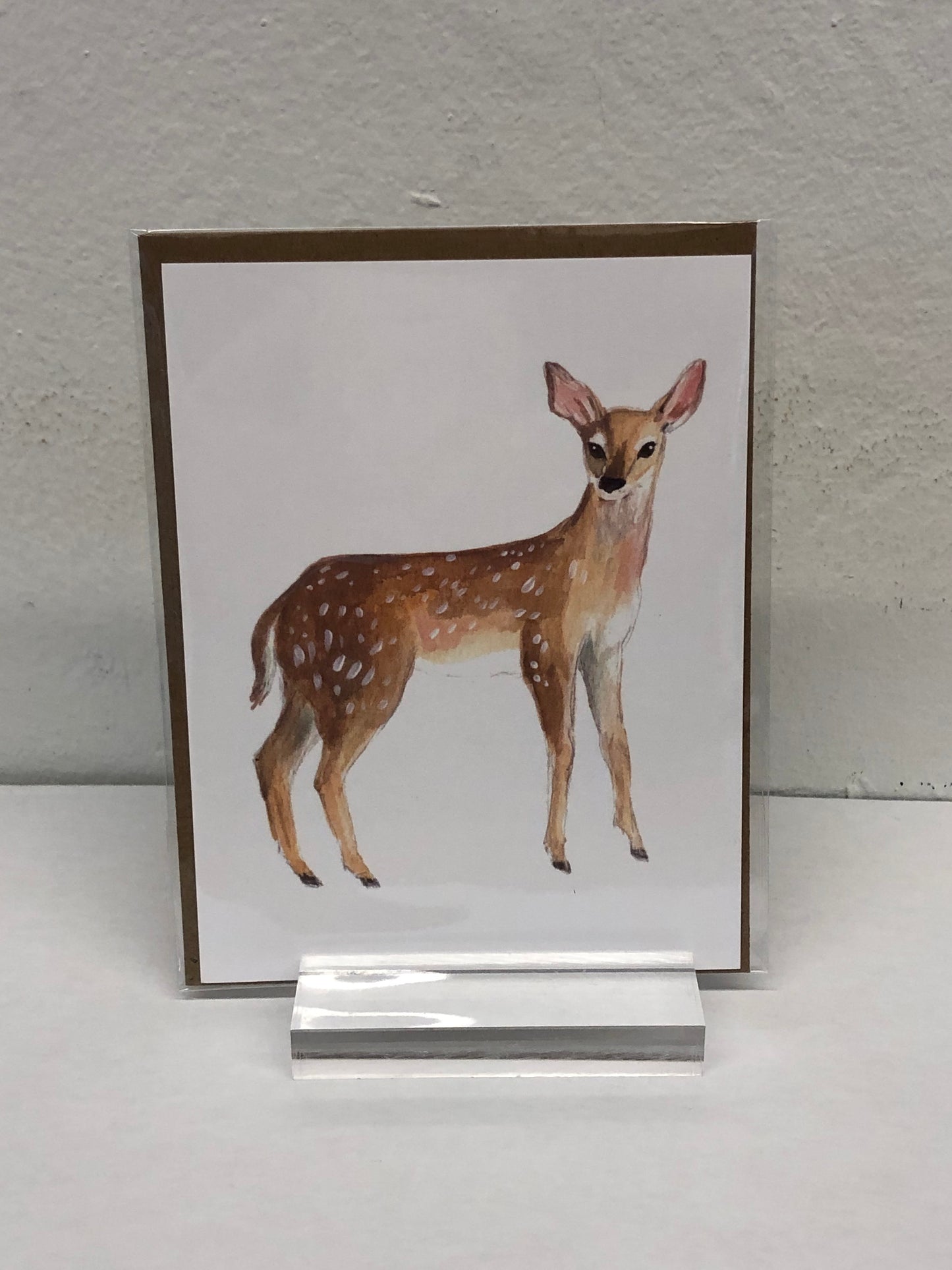 Animals of Canada - Postcards variety
