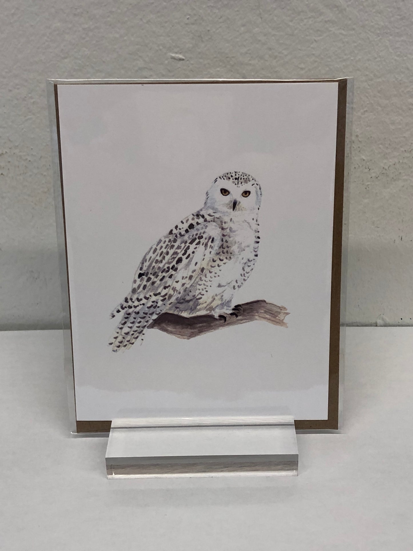 Animals of Canada - Postcards variety