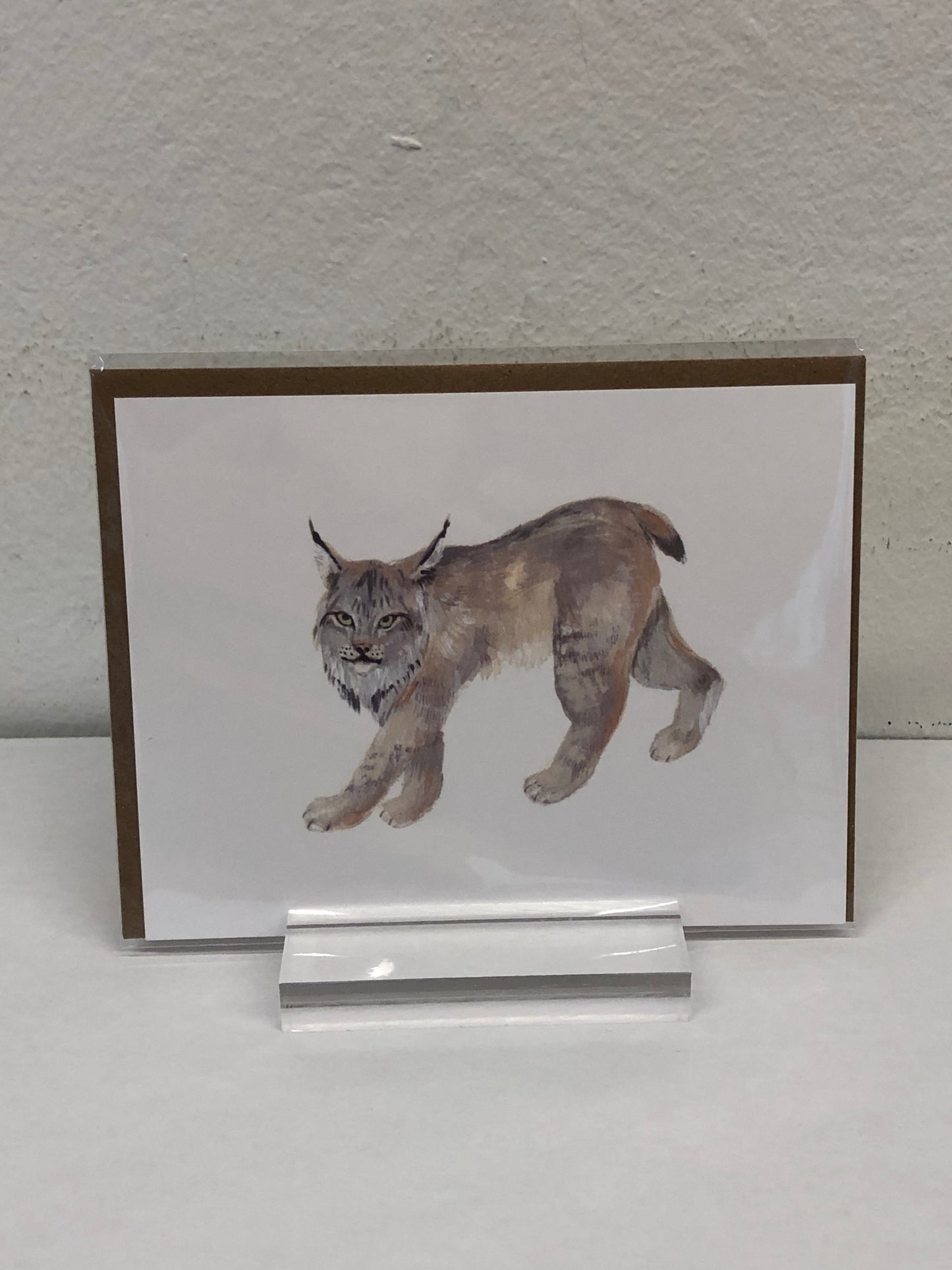 Animals of Canada - Postcards variety