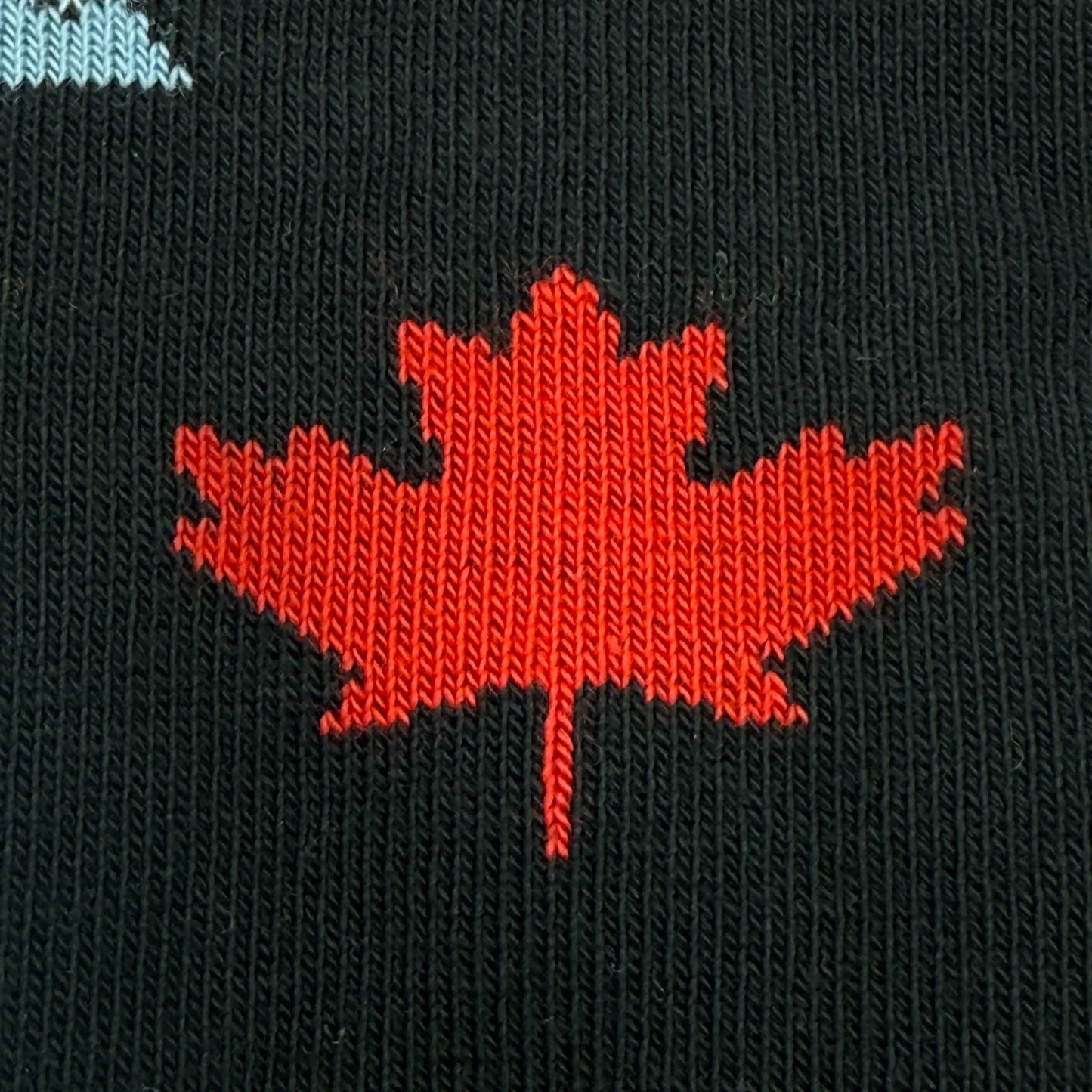 Friday Sock Co. - Kid's Canada Icons Socks: Medium (Age 4-7)