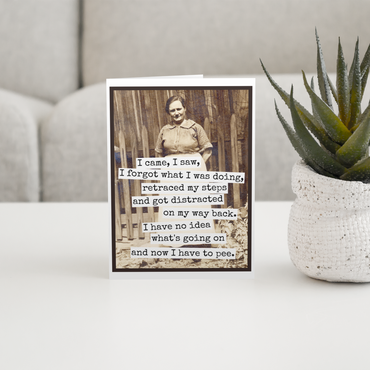 Raven's Rest Studio - Funny Greeting Card. I Came, I Saw, I Forgot What I Was Doin