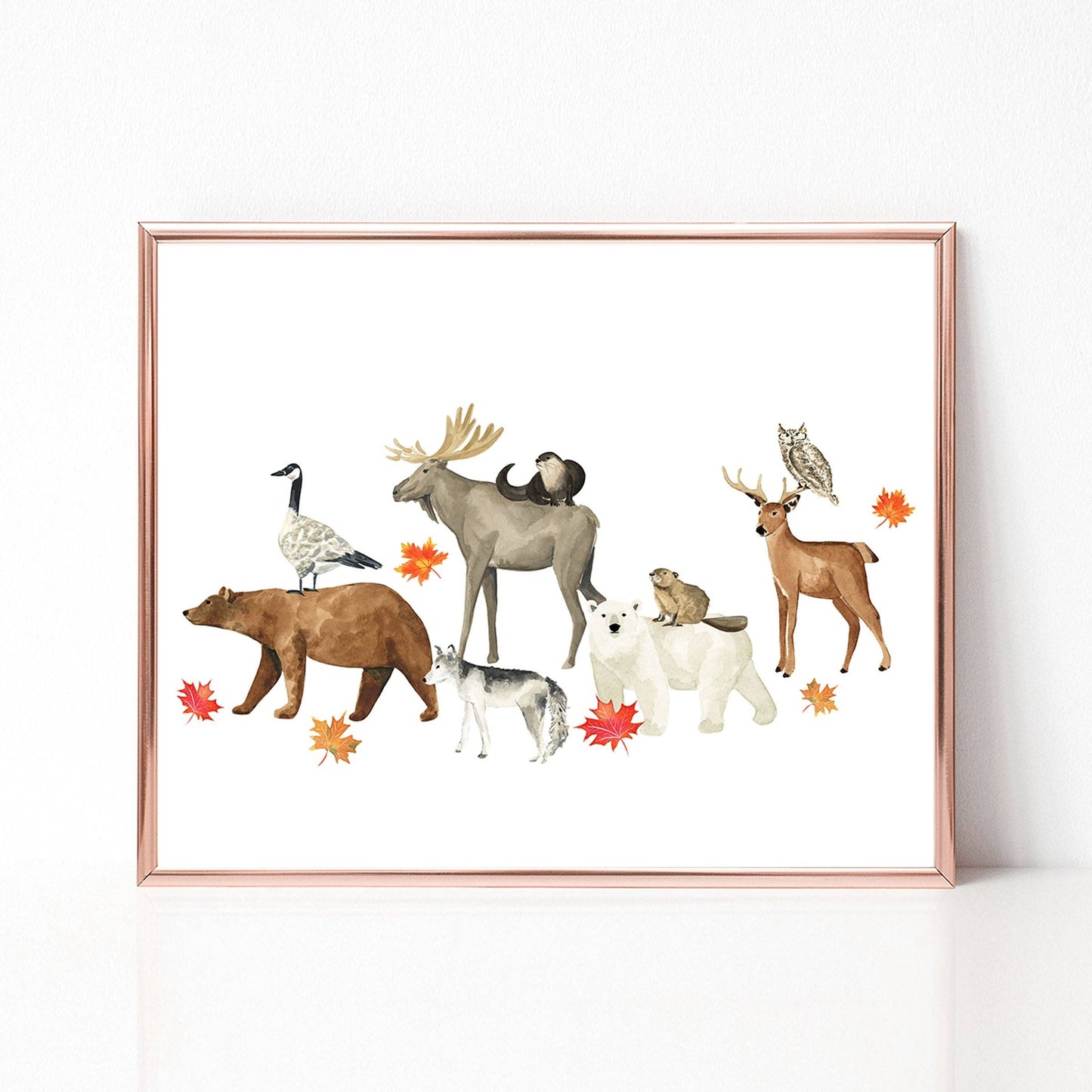 Almeida Illustrations - Animals of Canada II Art Print: 8 x 10
