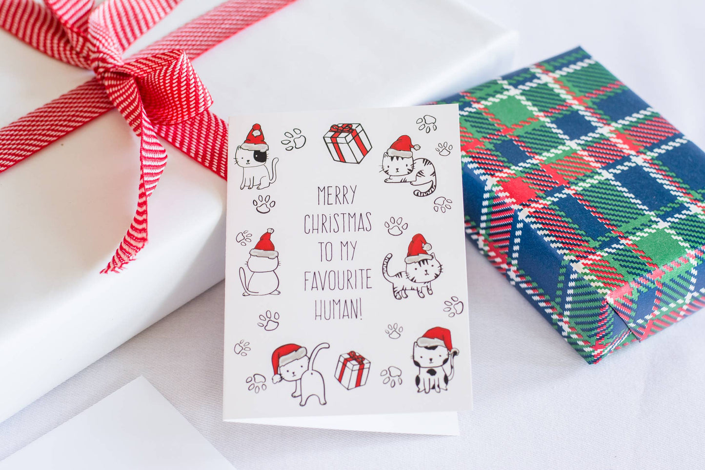 Merry Christmas To My Favourite Human Card - Cat