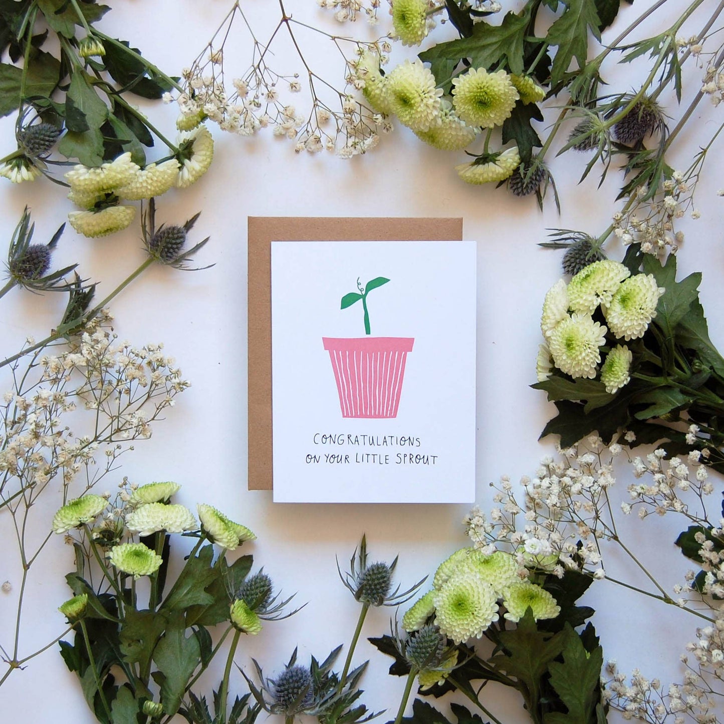 Badger & Burke - Little Sprout Card