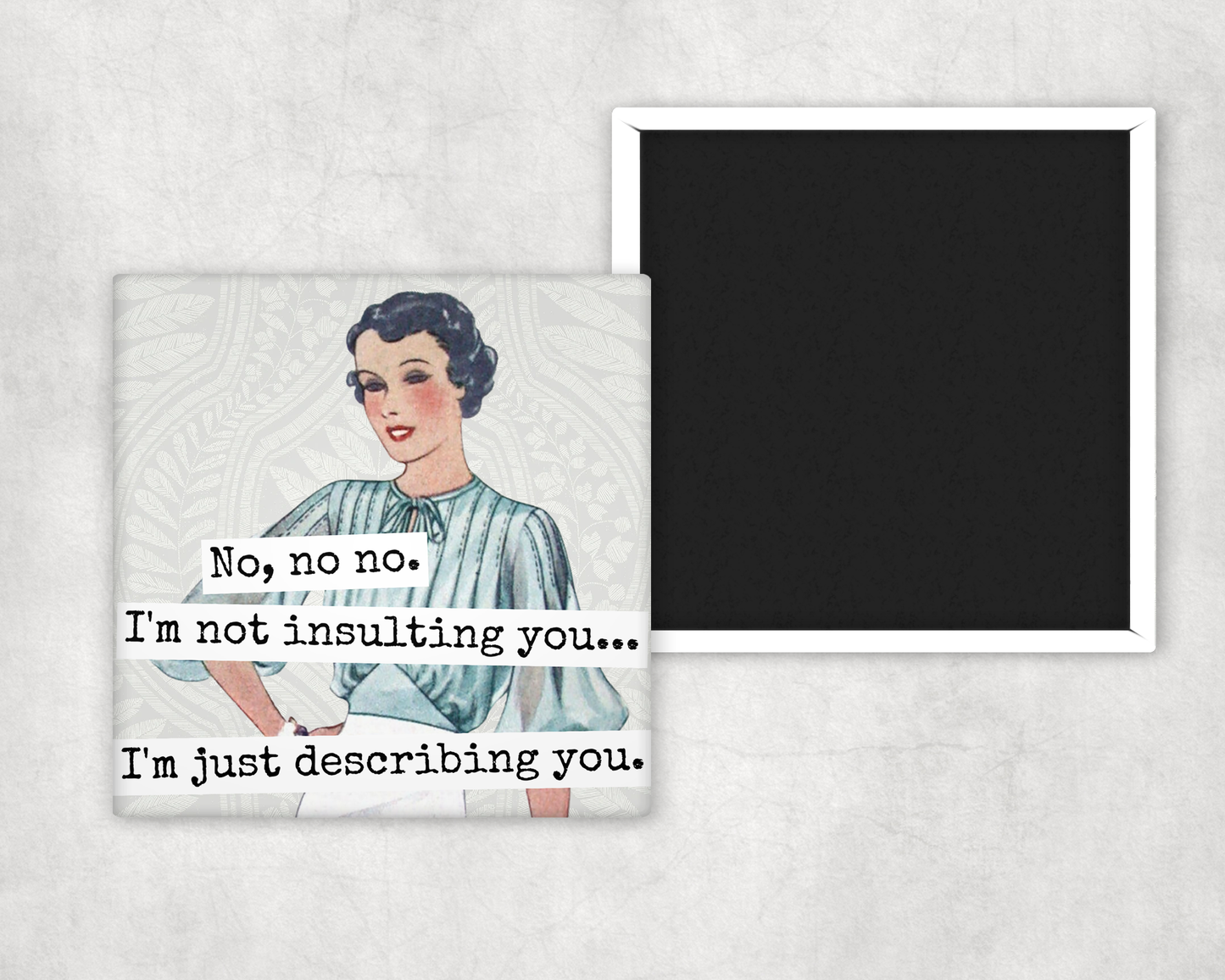 Raven's Rest Studio - MAGNET. No, No No. I'm Not Insulting You... I'm Just...