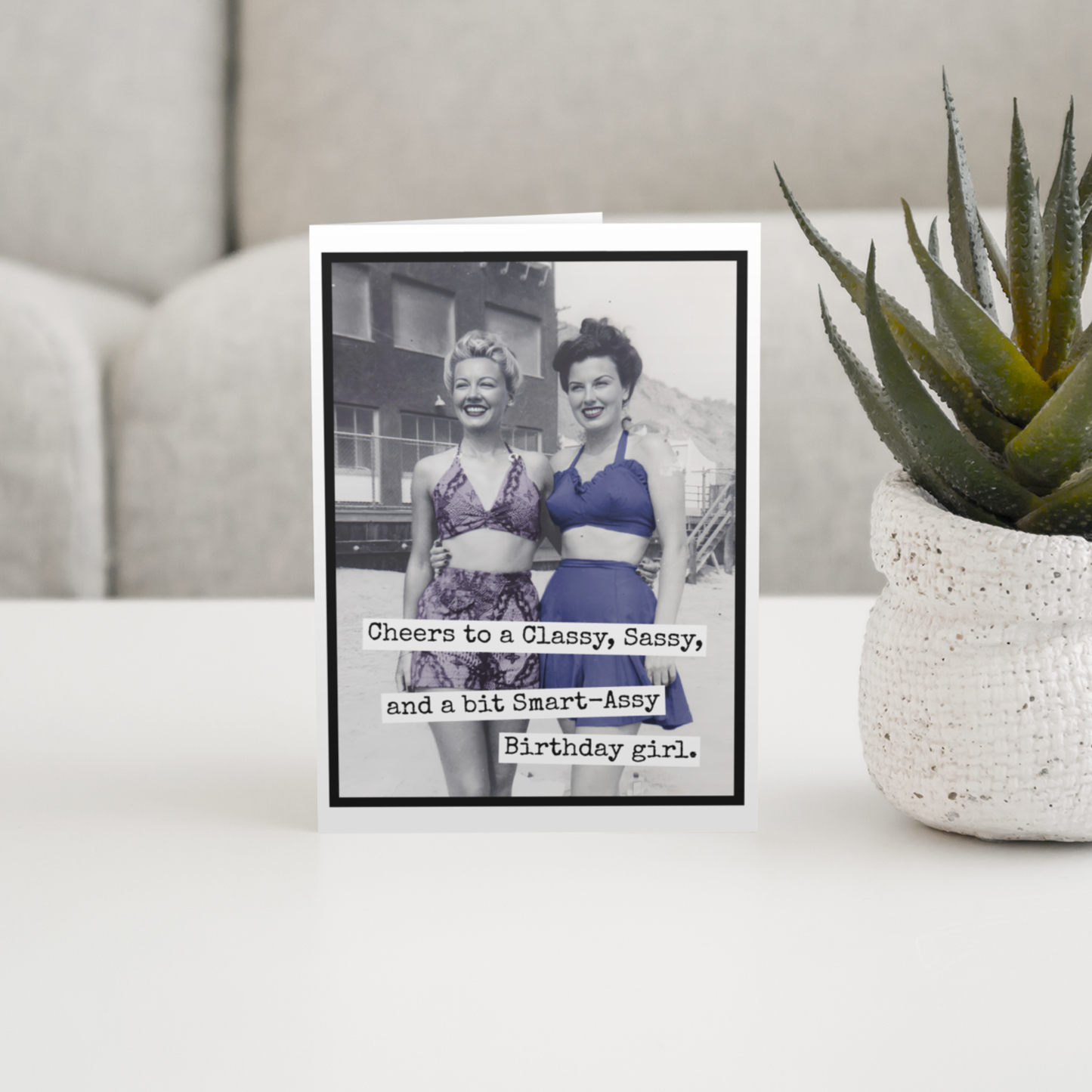 Raven's Rest Studio - Cheers to a Classy Sassy and a bit Smart Assy Birthday Girl