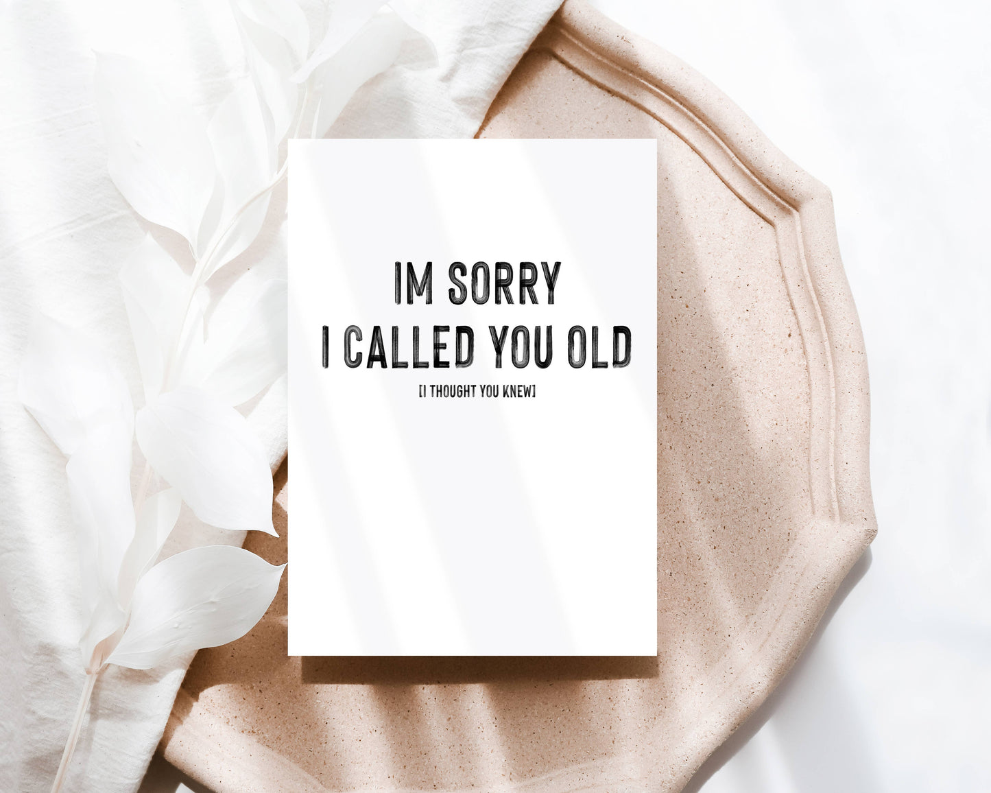 Creativien Studio - I'm sorry I called you old