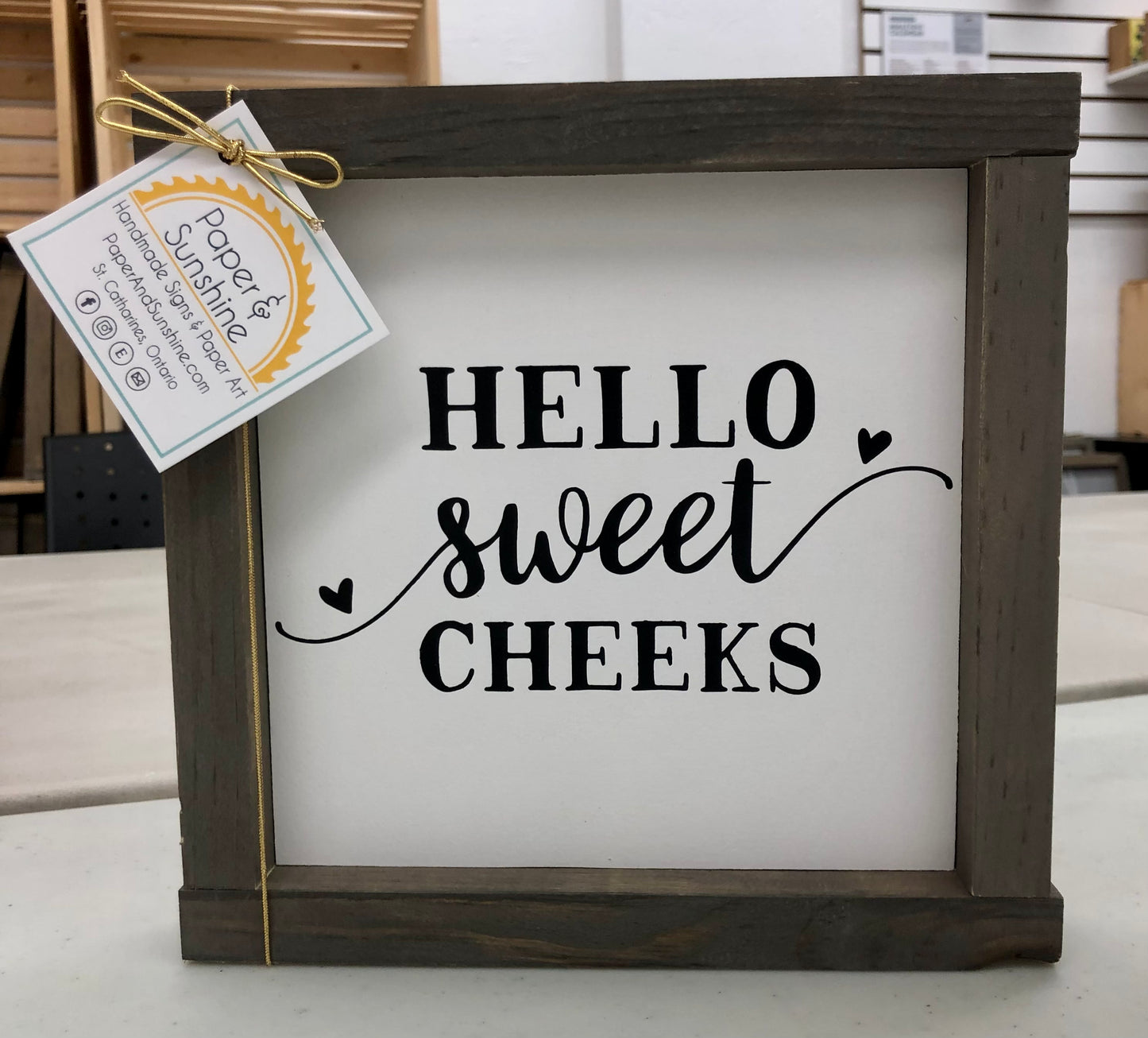 Paper & Sunshine- mini 8.5" Signs