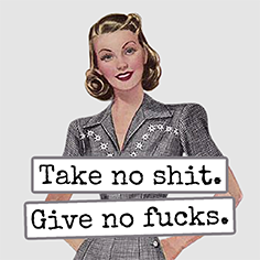 Raven's Rest Studio - Take No Shit... Fridge Magnet. 330