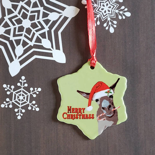 Christmas Shop-Merry ChristmASS Ornament - Blue Rocket Gifts