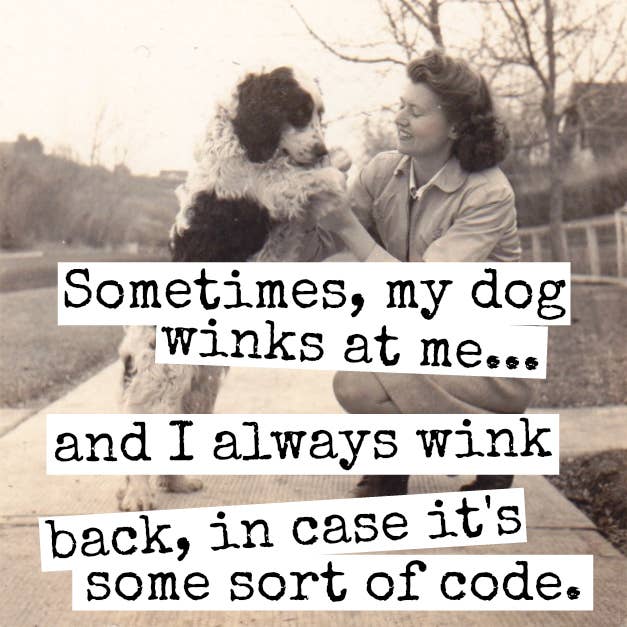 Raven's Rest Studio -Magnet Sometimes, My Dog Winks At Me...