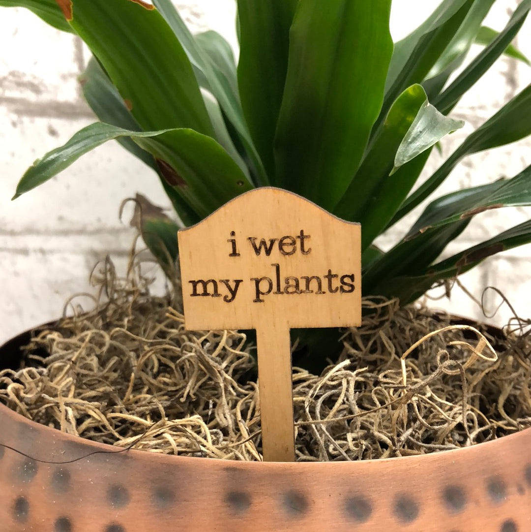 Simple Rooted - Plant Sticks (small)