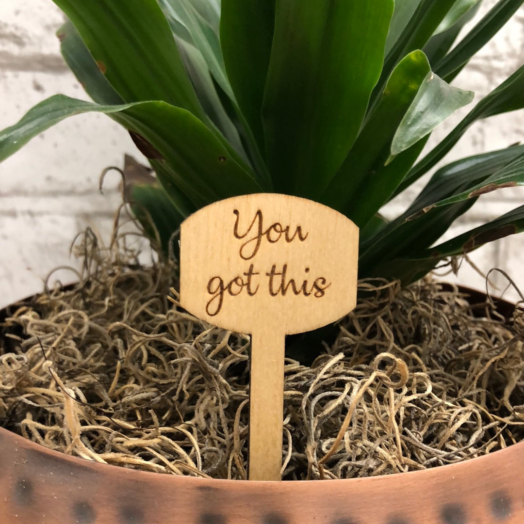 Simple Rooted - Plant Sticks (small)