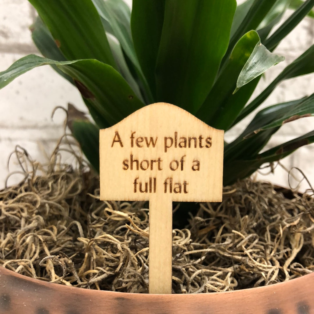 Simple Rooted - Plant Sticks (small)