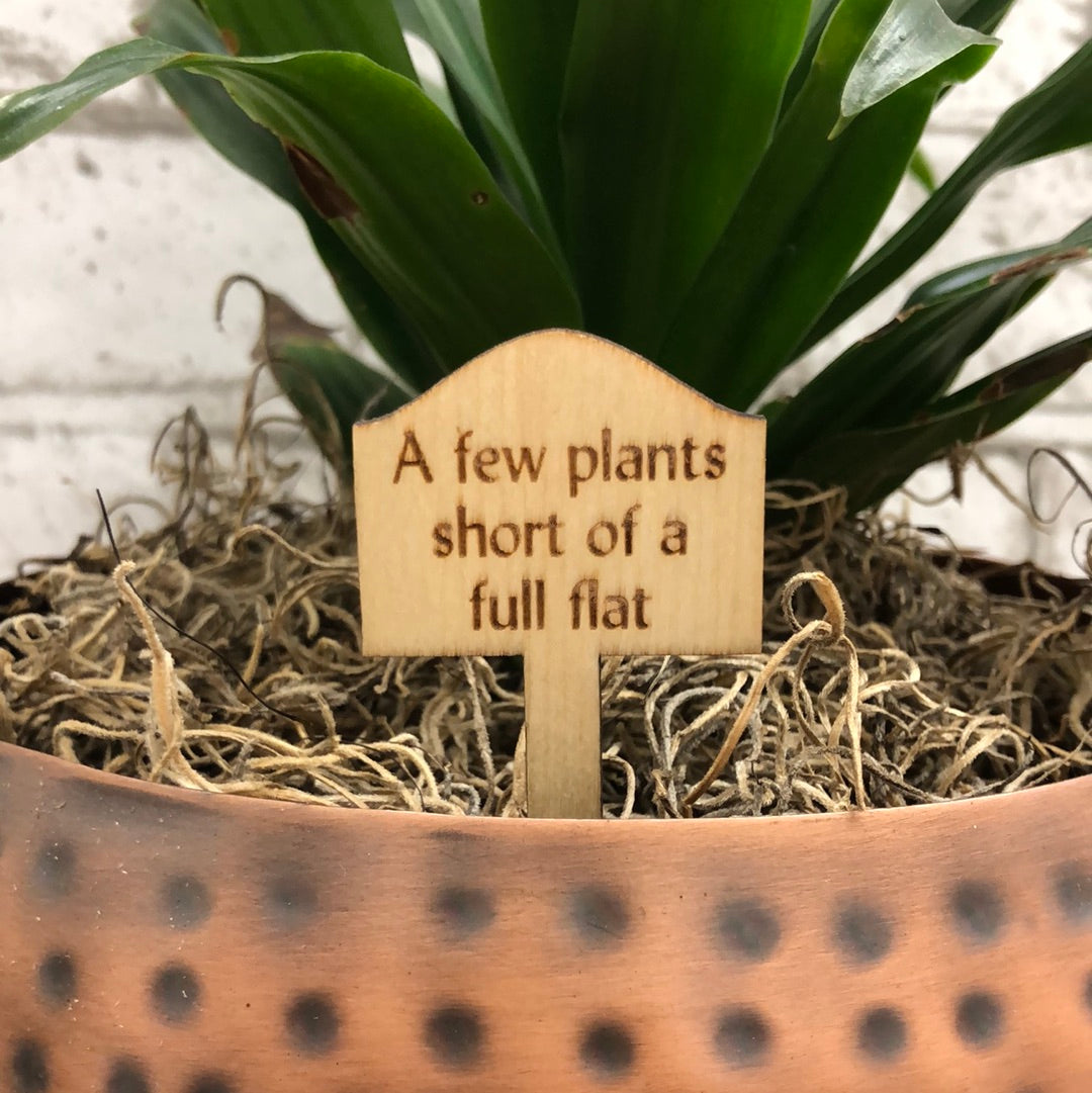 Simple Rooted - Plant Sticks (small)