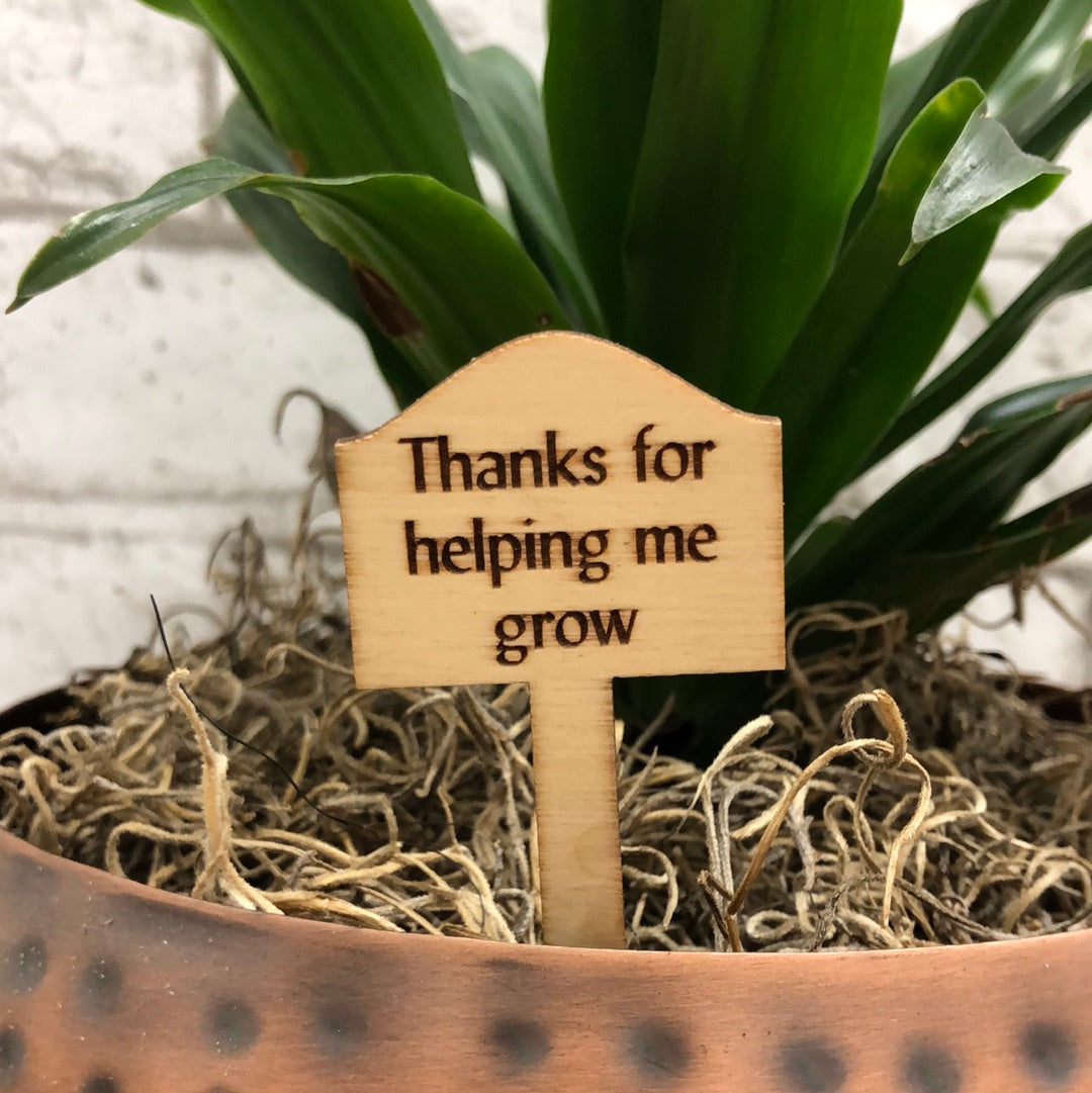 Simple Rooted - Plant Sticks (small)