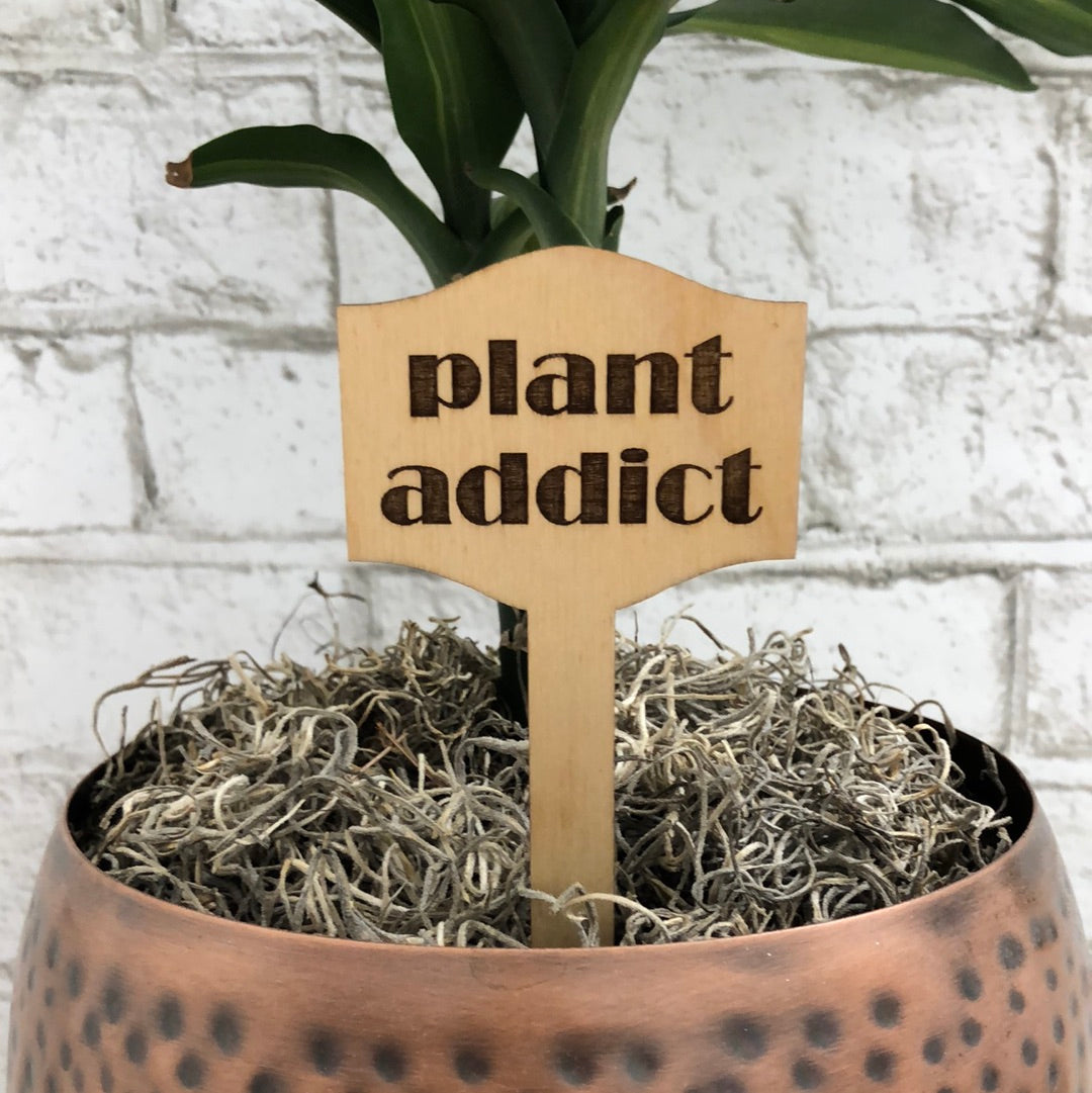 Simple Rooted - Plant Sticks (large)