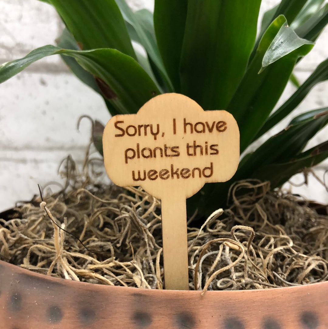 Simple Rooted - Plant Sticks (small)