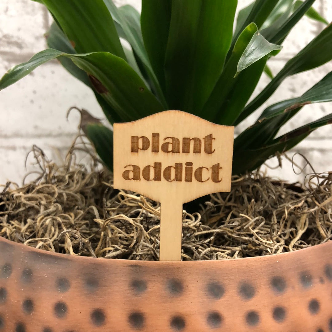 Simple Rooted - Plant Sticks (small)