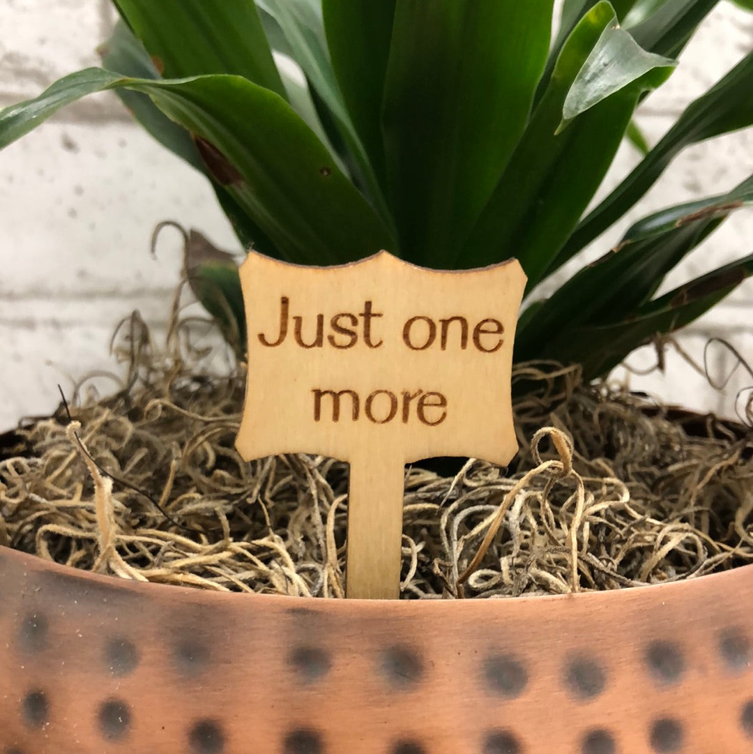 Simple Rooted - Plant Sticks (small)