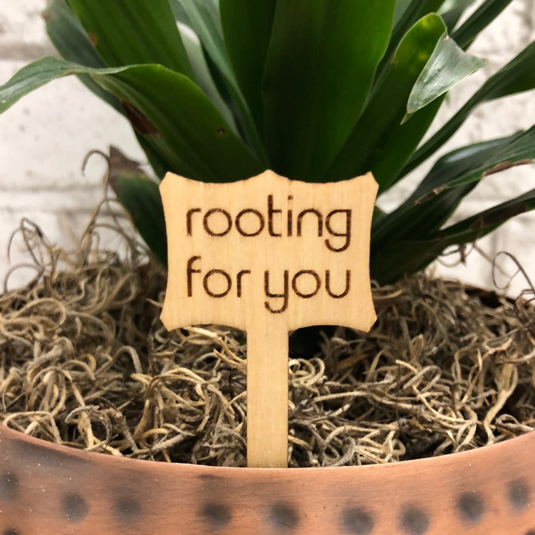 Simple Rooted - Plant Sticks (small)