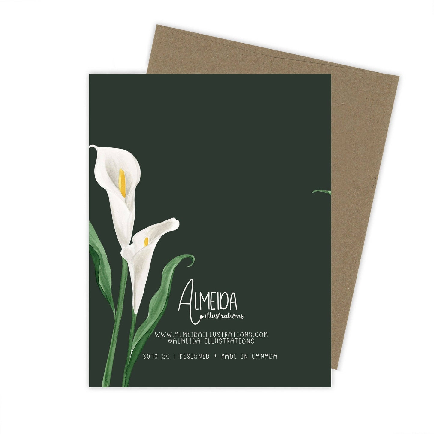 Almeida Illustrations - Cala Lily Condolence Card | Sympathy: White