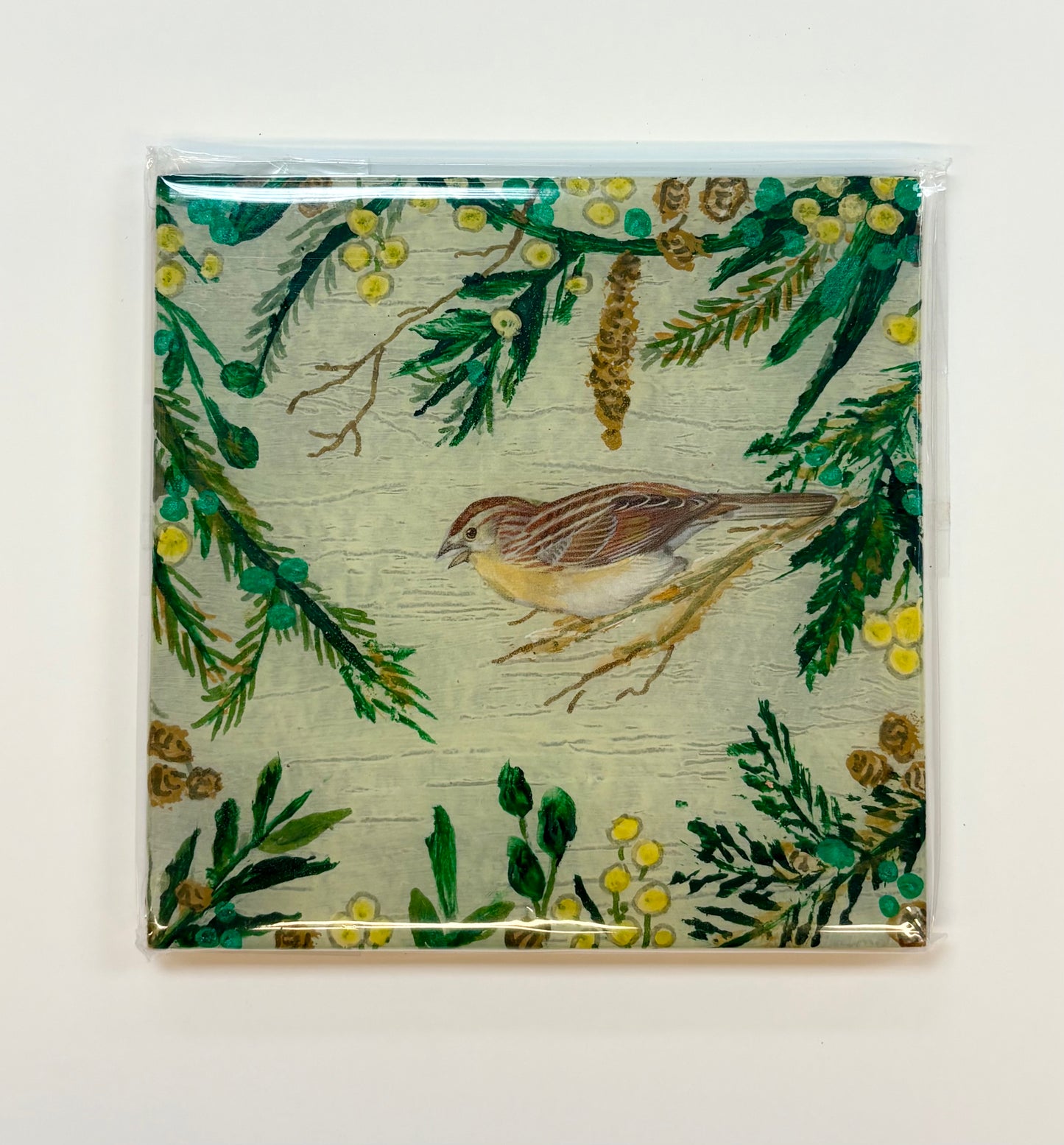 Artsy and Arthritic - Hand painted kitchen trivets - Variety