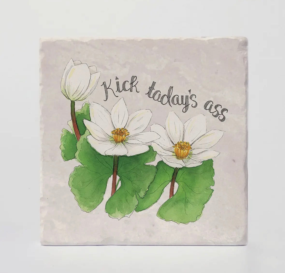 Versatile Coasters Canada - Naughty Florals Retailer Coasters