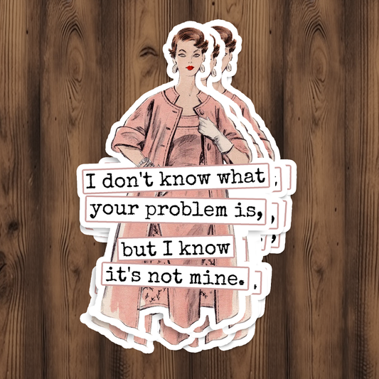 Raven's Rest Studio - Funny STICKER. I Don't Know What Your Problem Is...